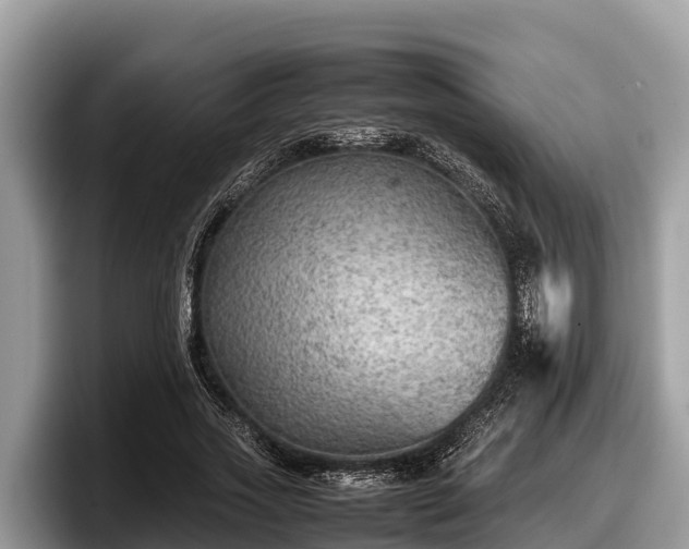 X0000097880733200803211334