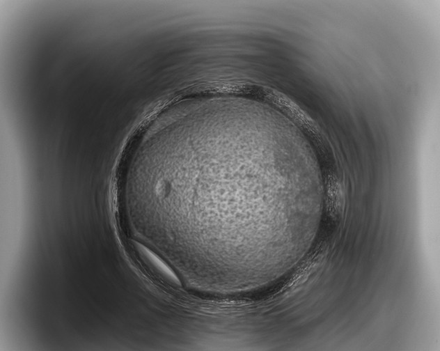 X0000097880734200803211334