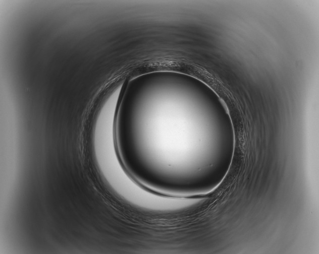 X0000097880735200803211334