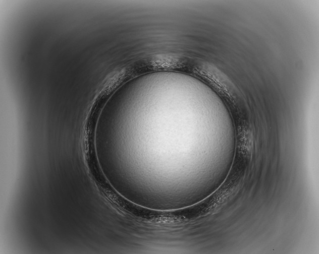 X0000097880738200803211334