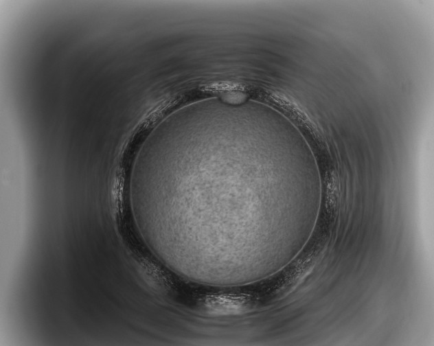 X0000097880739200803211334
