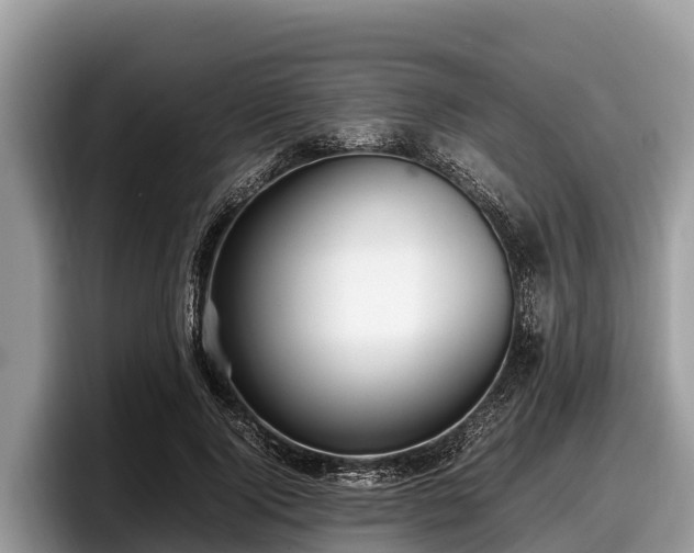 X0000097880740200803211334