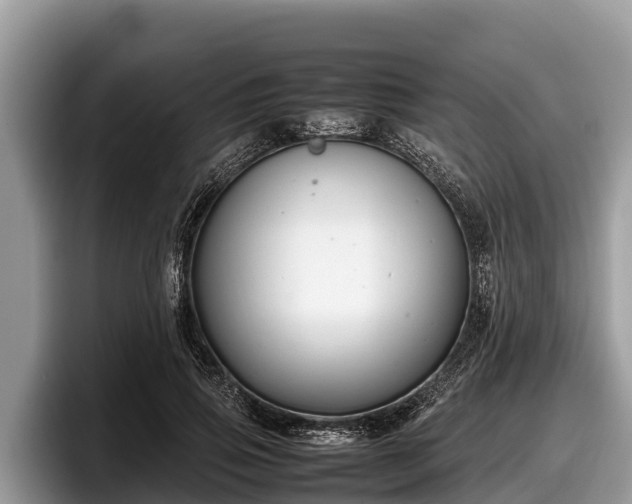 X0000097880741200803211334