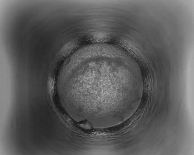 X0000097880742200803211334