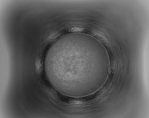 X0000097880743200803211334