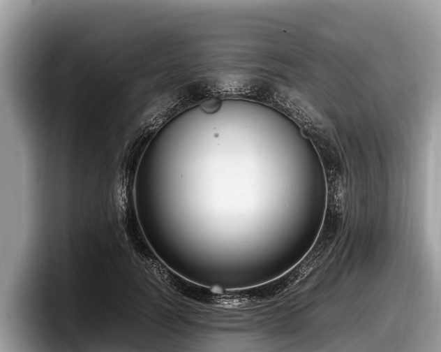 X0000097880746200803211334