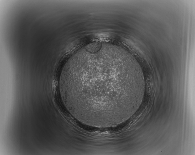 X0000097880747200803211334