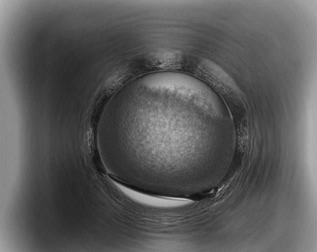 X0000097880748200803211334