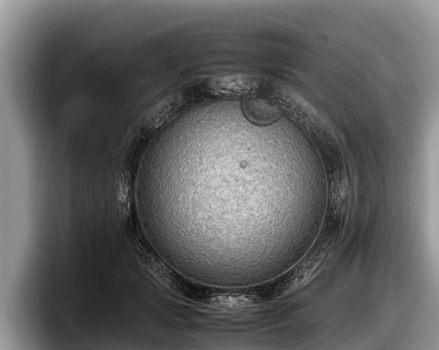 X0000097880749200803211334