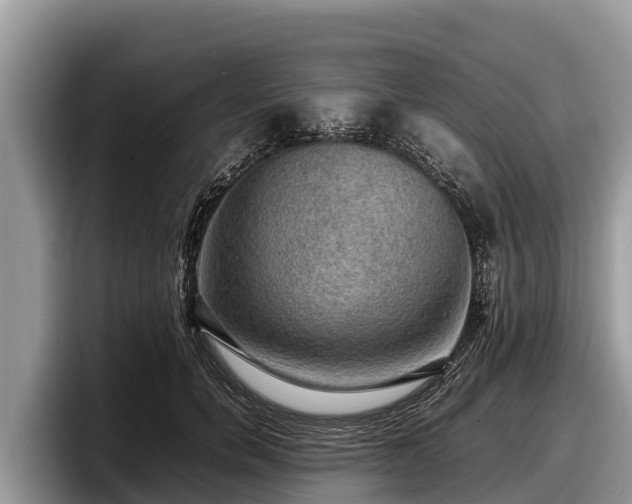 X0000097880750200803211334