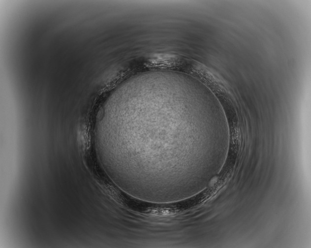 X0000097880751200803211334