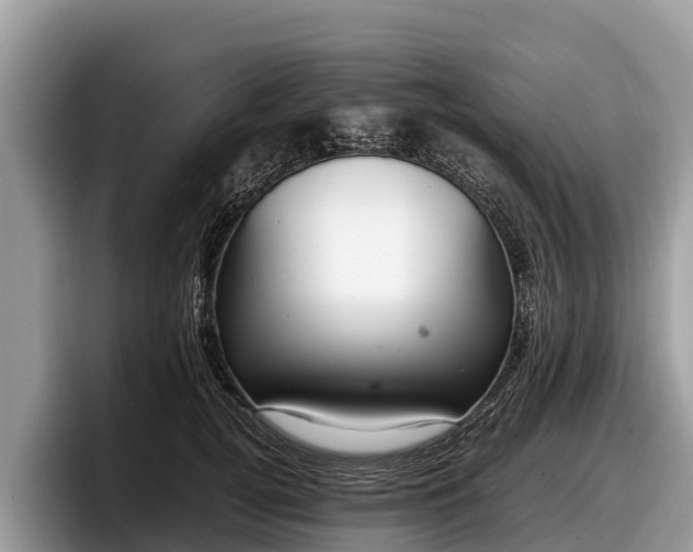 X0000097880752200803211334