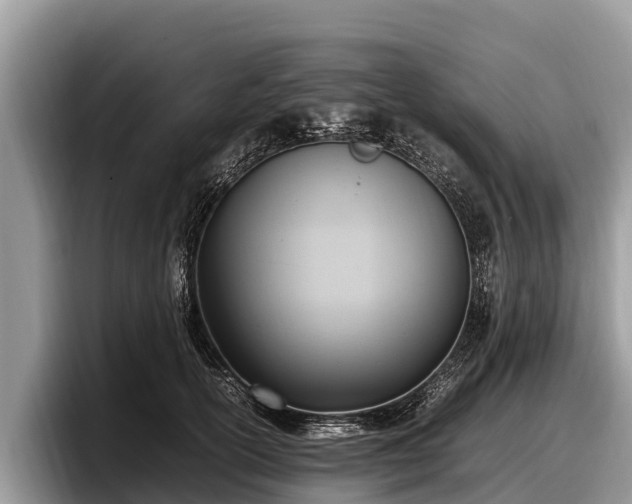 X0000097880754200803211334
