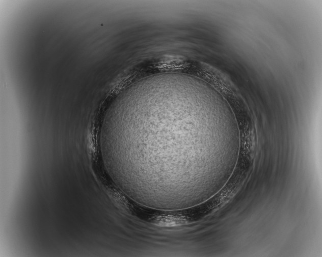X0000097880755200803211334