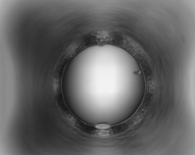X0000097880756200803211334