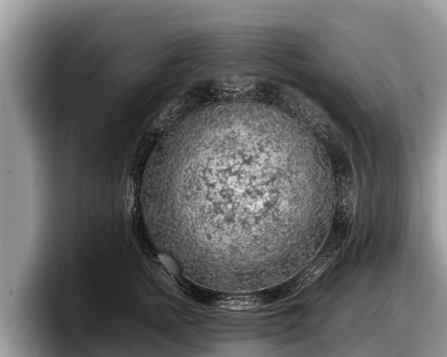 X0000097880758200803211334