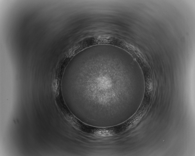 X0000097880759200803211334