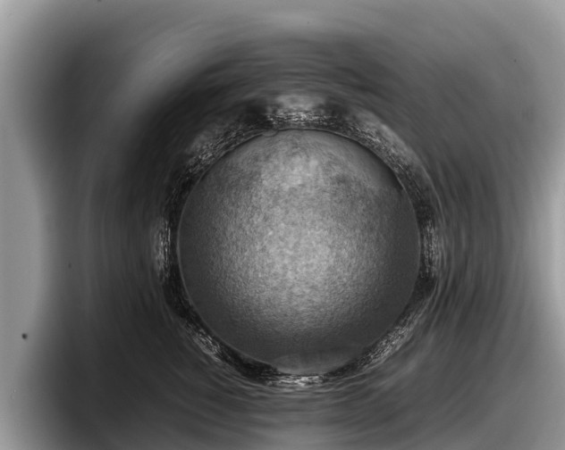 X0000097880760200803211334