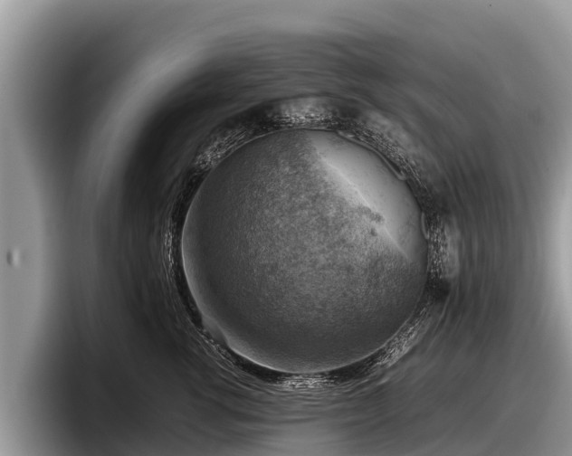 X0000097880762200803211334