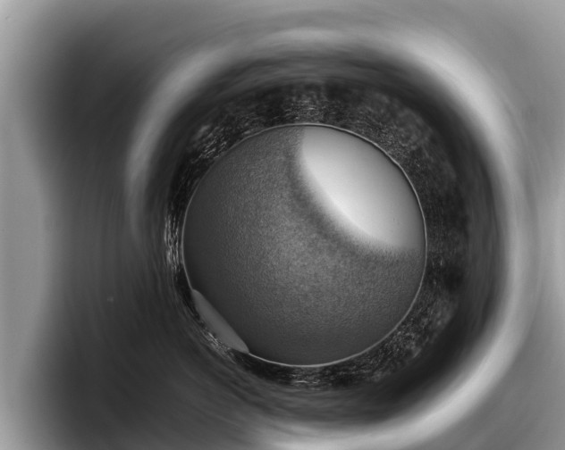 X0000097880766200803211334