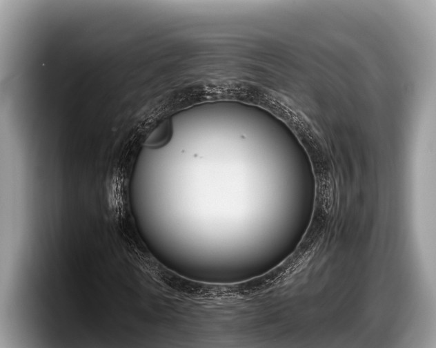 X0000097880770200803211333