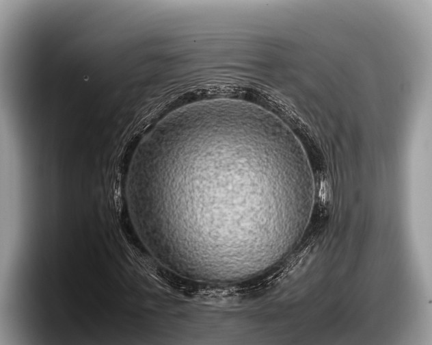 X0000097880771200803211333