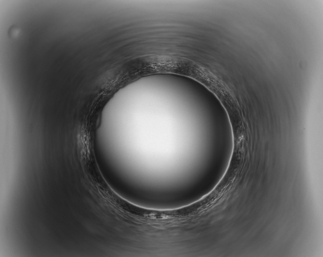 X0000097880772200803211333
