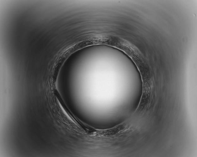 X0000097880773200803211333