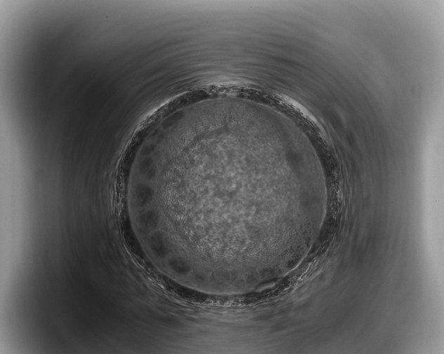 X0000097880775200803211333