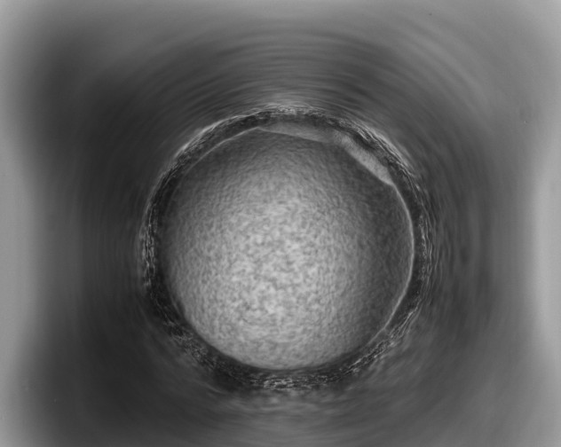 X0000097880776200803211333