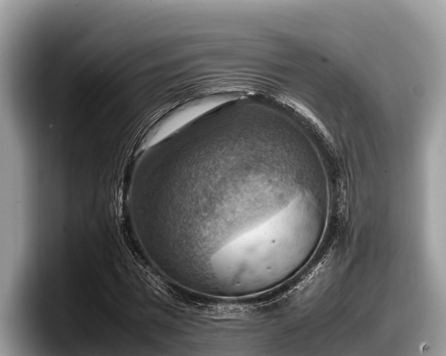 X0000097880777200803211333