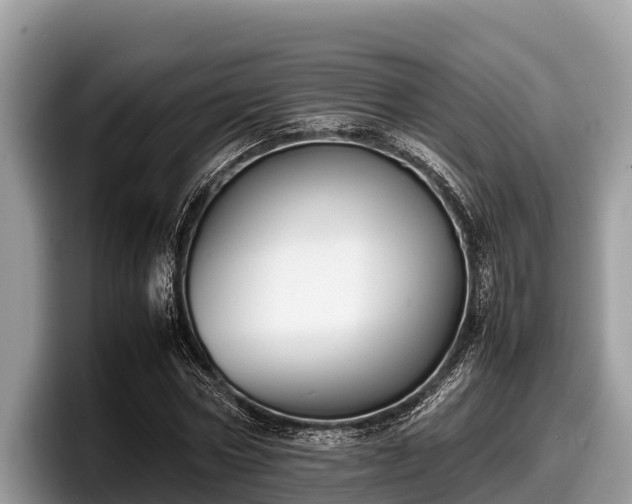 X0000097880778200803211333