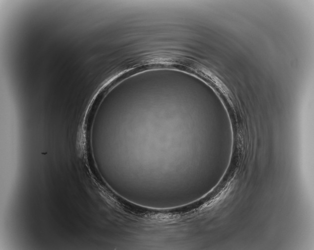 X0000097880779200803211333