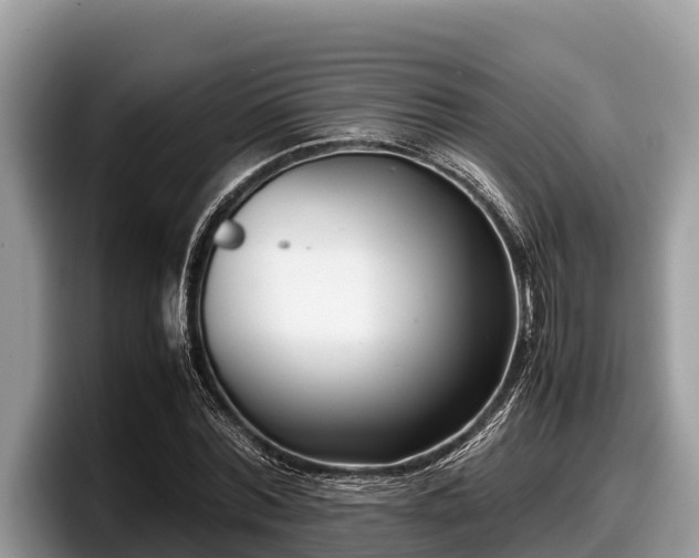X0000097880780200803211333