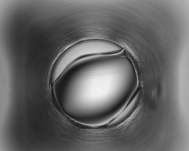 X0000097880781200803211333