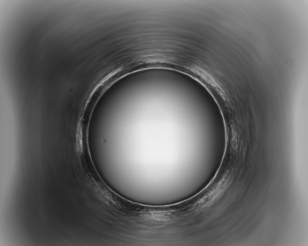 X0000097880782200803211333