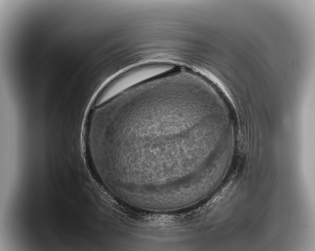 X0000097880783200803211333