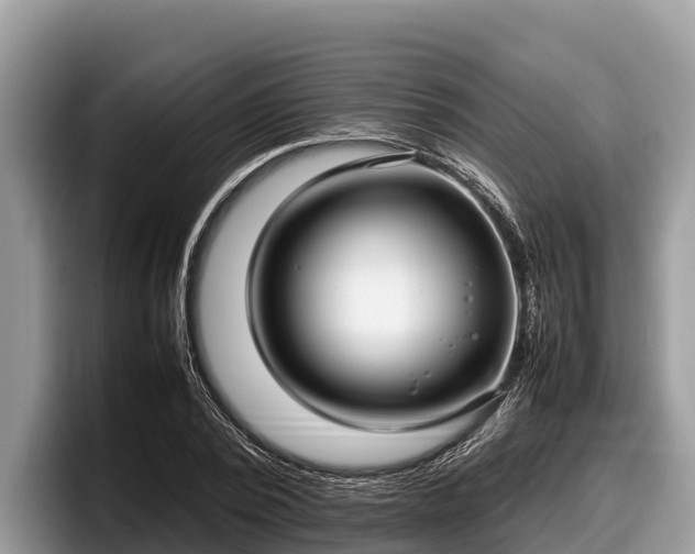 X0000097880784200803211333