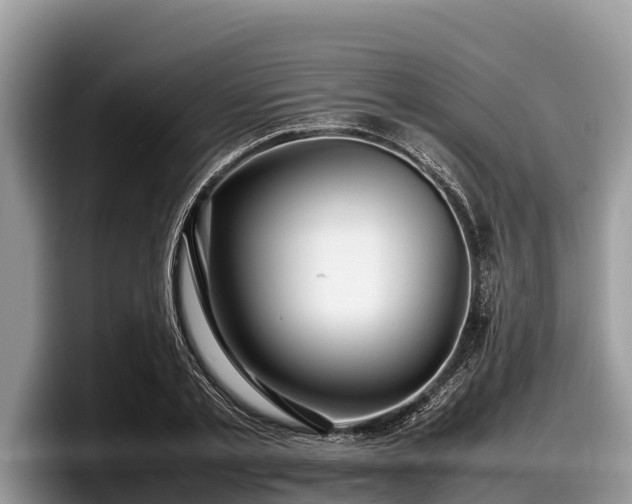 X0000097880789200803211333