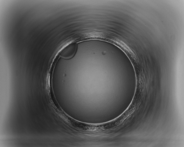 X0000097880790200803211333