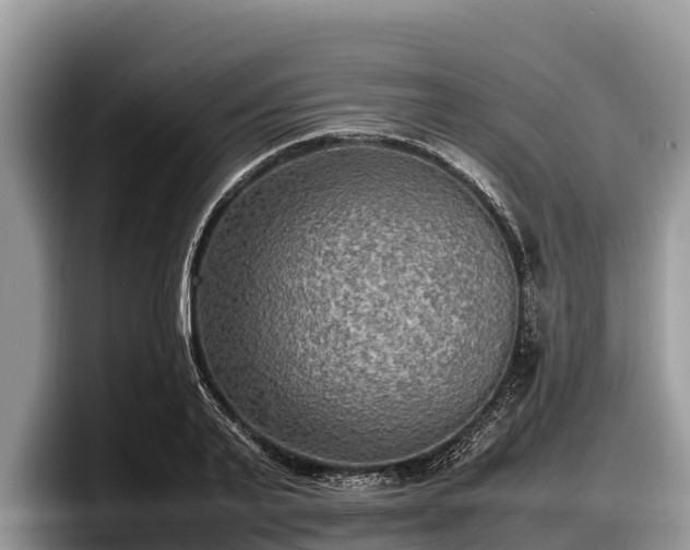 X0000097880791200803211333