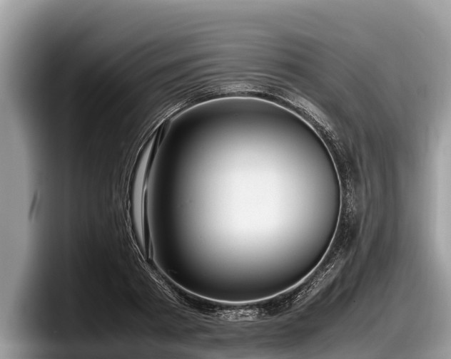 X0000097880793200803211333