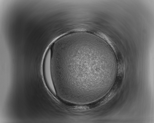 X0000097880795200803211333