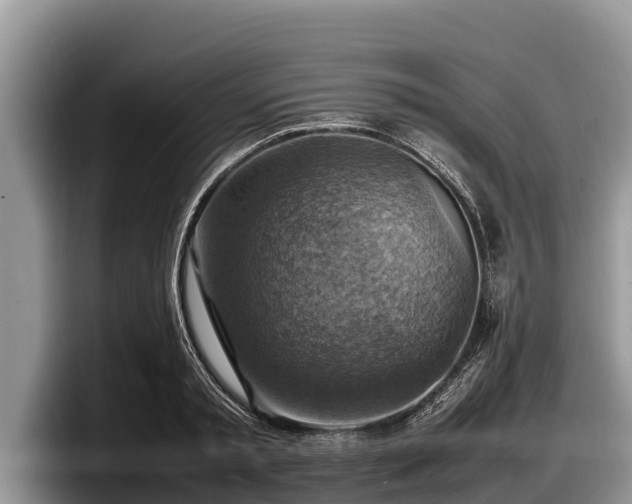 X0000097880797200803211333