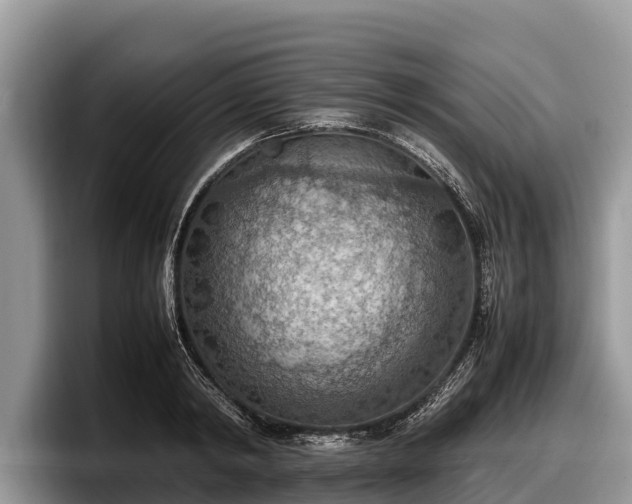 X0000097880798200803211333