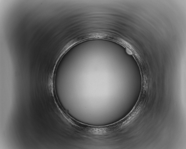 X0000097880802200803211333