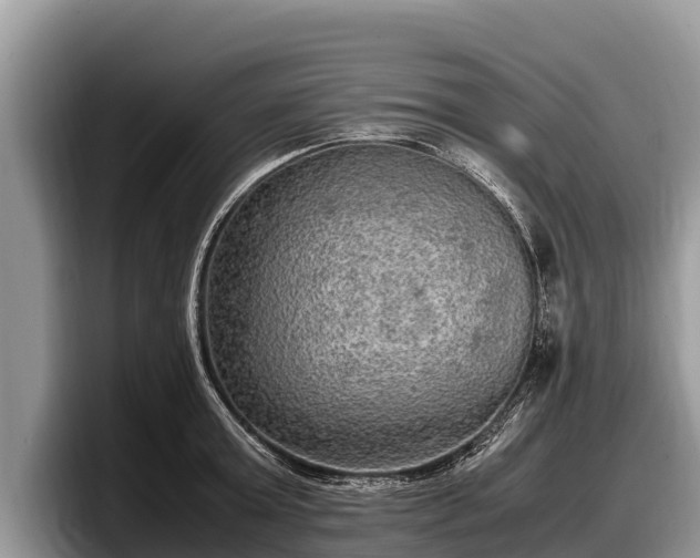 X0000097880803200803211333
