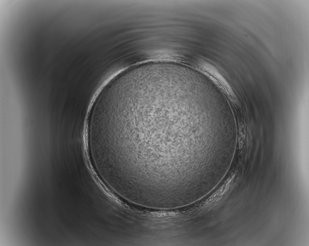X0000097880804200803211333
