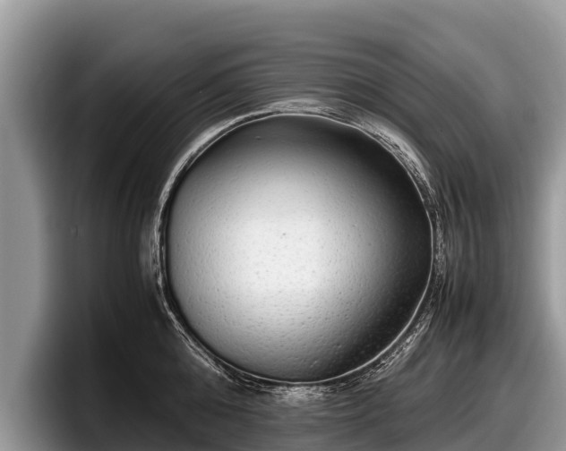 X0000097880808200803211333