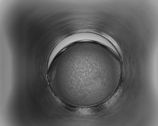 X0000097880809200803211333